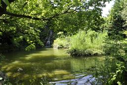 der Teich